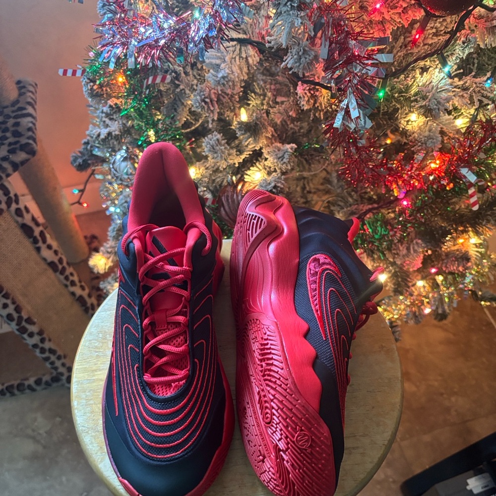 Men’s Nike Shoe